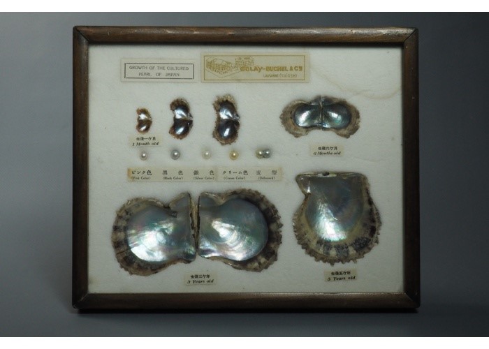 Coffret de nacres et perles