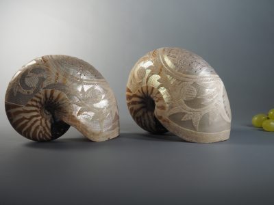 Coquilles de nautile Nouvelle-Calédonie XIXe