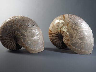 Coquilles de nautile Nouvelle-Calédonie XIXe