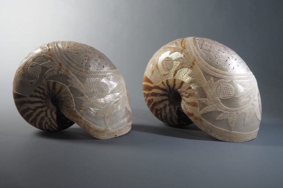 Coquilles de nautile Nouvelle-Calédonie XIXe