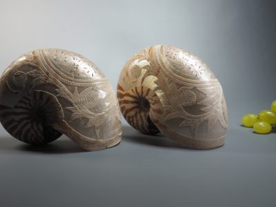 Coquilles de nautile Nouvelle-Calédonie XIXe