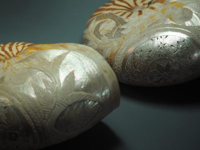 Coquilles de nautile Nouvelle-Calédonie XIXe