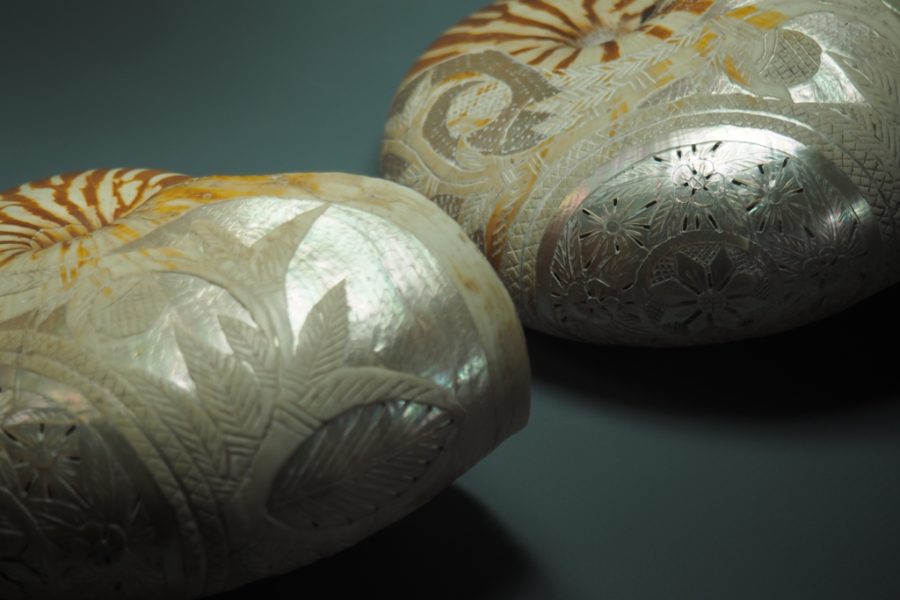 Coquilles de nautile Nouvelle-Calédonie XIXe